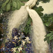 Схема вышивки «Белые павлины»