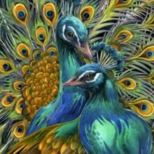 Схема вышивки «Павлины»