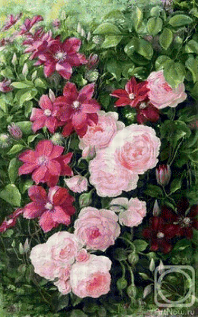 Розы и клематисы - розы, цветы - предпросмотр