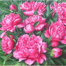 Схема вышивки «Пионы»