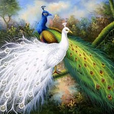 Схема вышивки «Павлины»