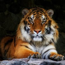 Схема вышивки «№1400621»