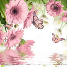 Схема вышивки «бабочки на герберах»