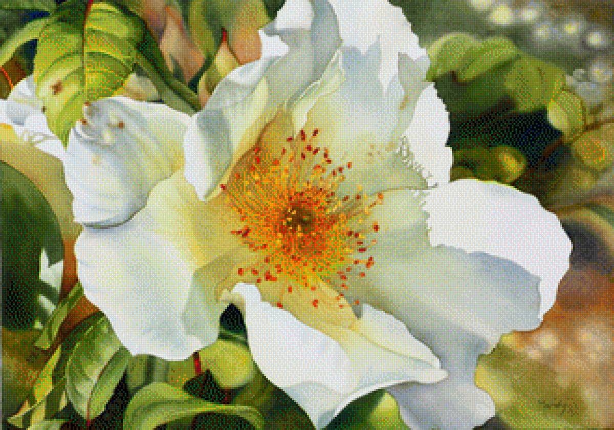 flower - предпросмотр