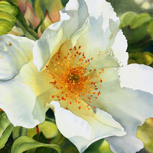 Схема вышивки «flower»