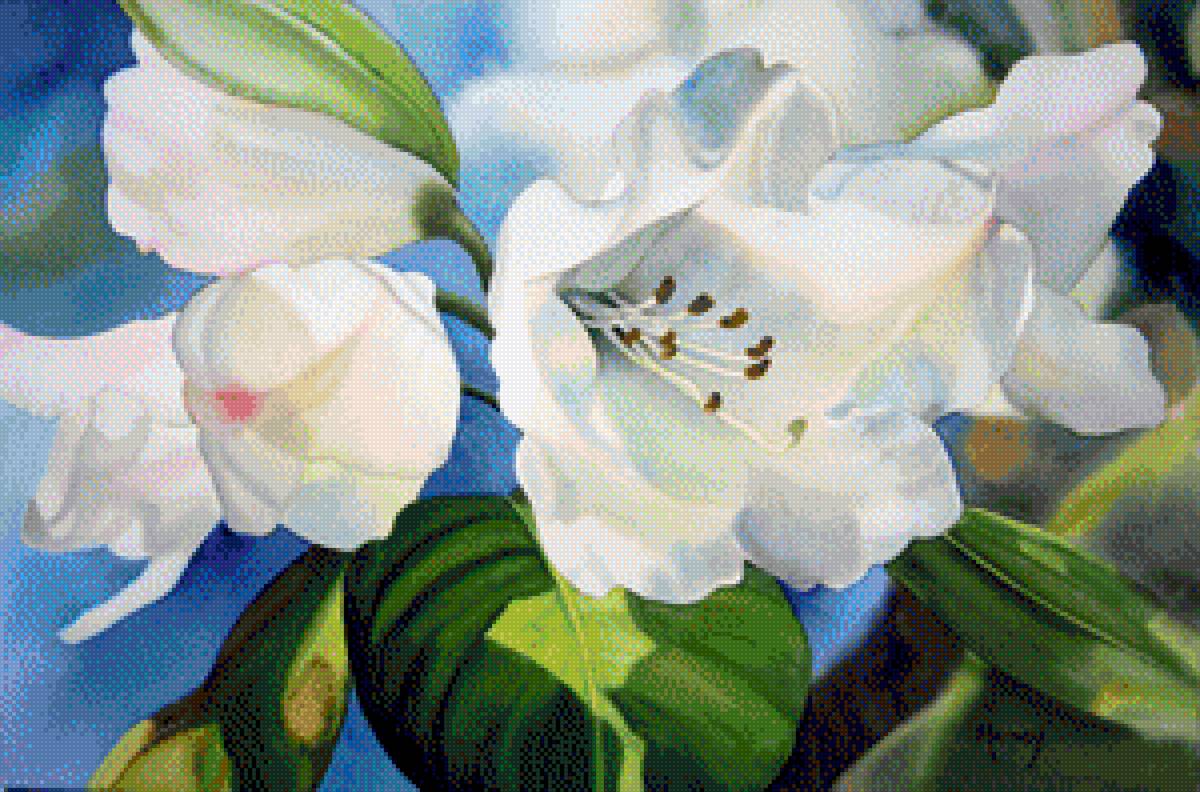 flower - предпросмотр