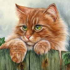 Схема вышивки «Рыжий котик»