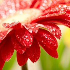 Схема вышивки «Цветок»