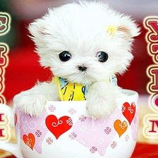 Схема вышивки «Доброе утро»