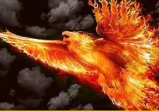 Схема вышивки «Жар птица»