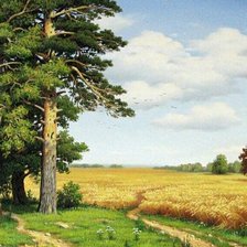 Схема вышивки «Рожь»