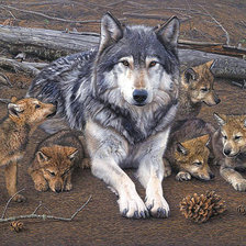 Схема вышивки «663»