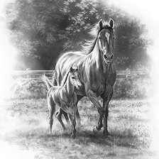 Схема вышивки «№1402639»