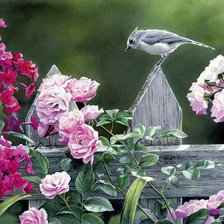 Схема вышивки «Серия "Птицы"»