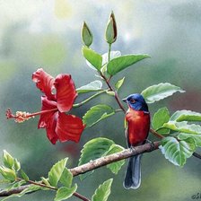 Схема вышивки «Серия "Птицы"»