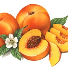 Схема вышивки «Натюрморт персики»