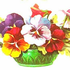 Схема вышивки «Анютины глазки»