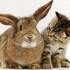 Схема вышивки «друзья»