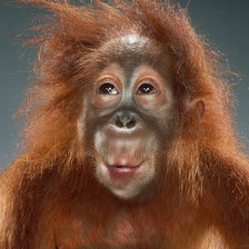 Схема вышивки «№1403251»