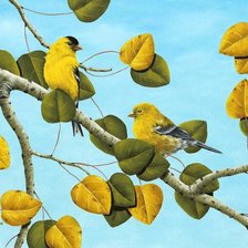 Схема вышивки «Серия "Птицы"»