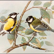 Схема вышивки «Серия "Птицы"»