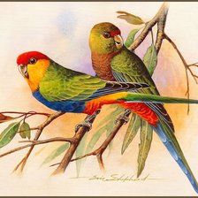 Схема вышивки «Серия "Птицы"»