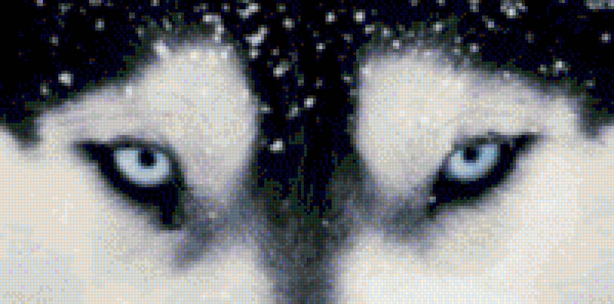 Глаза хаски - предпросмотр