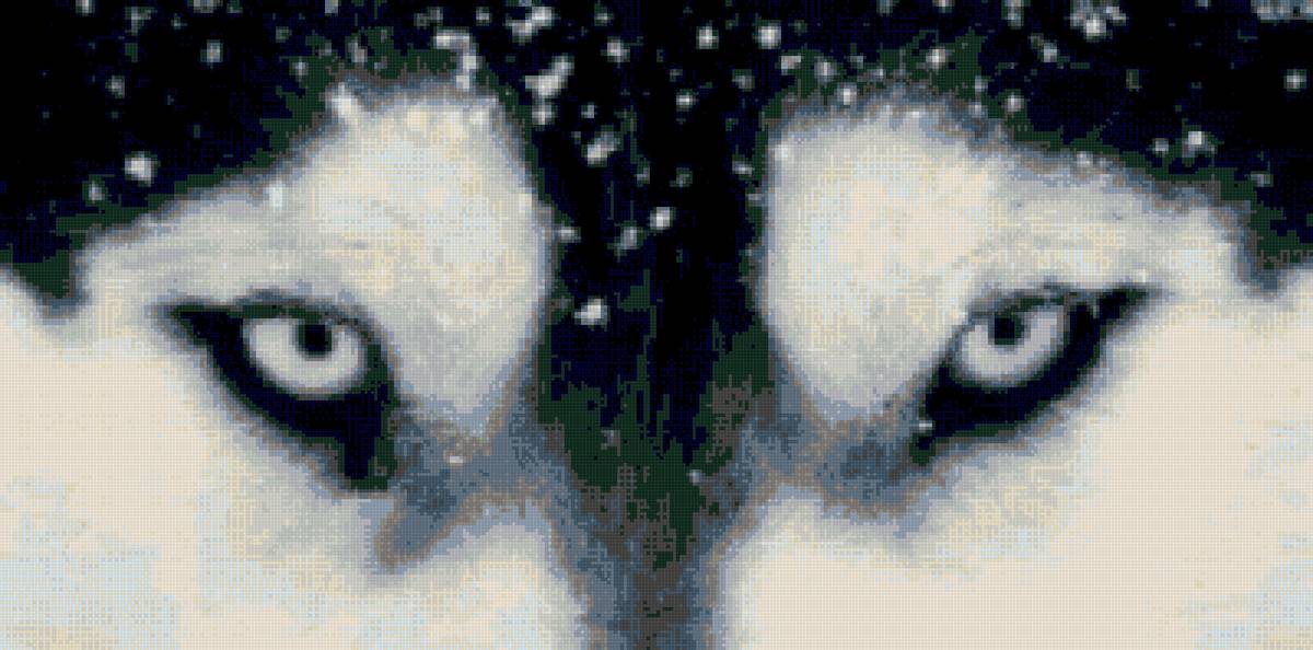 Глаза хаски - предпросмотр