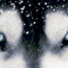 Глаза хаски