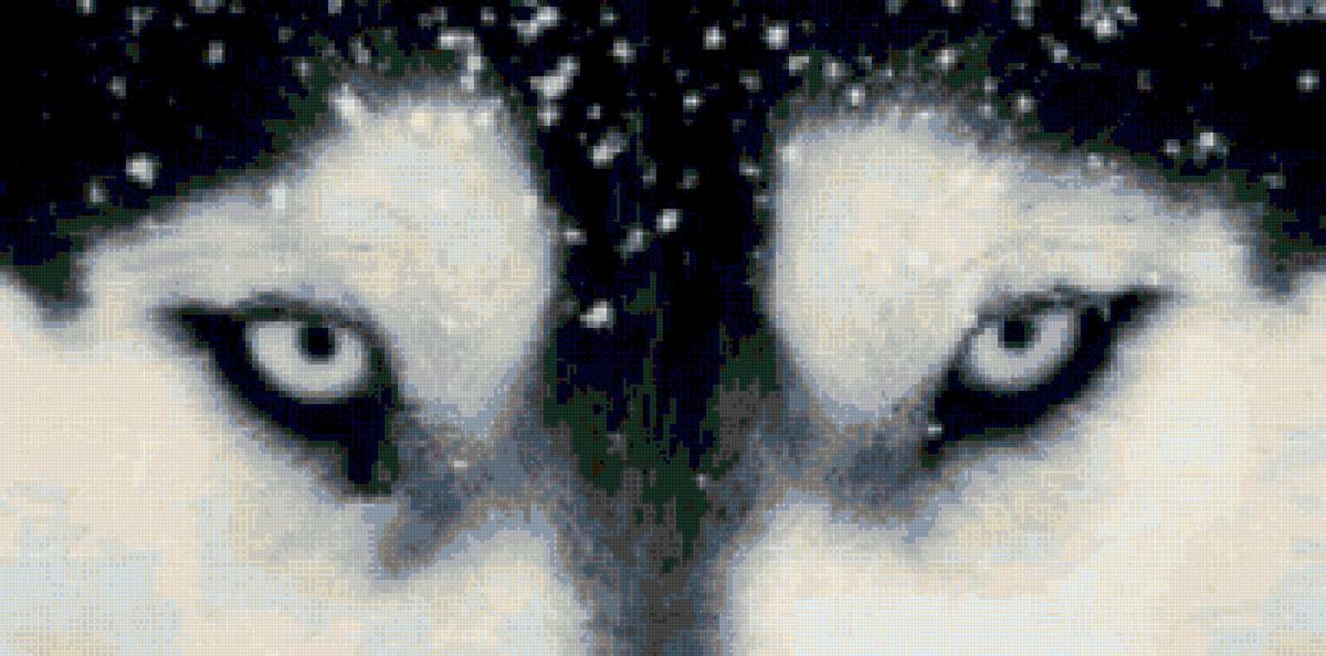 Глаза хаски 2 - предпросмотр