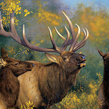 Схема вышивки «№1403491»