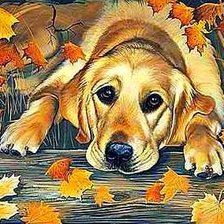 Схема вышивки «осенний листопад»