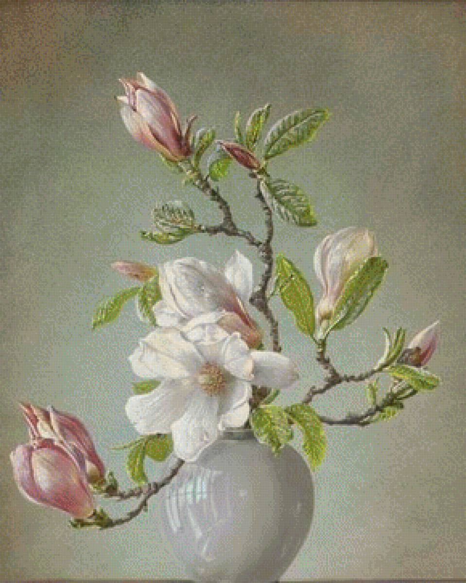 №1403804 - магнолия - предпросмотр