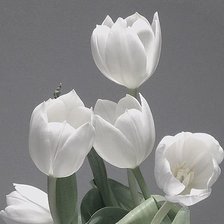 Схема вышивки «№1403998»