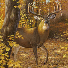 Схема вышивки «№1404018»