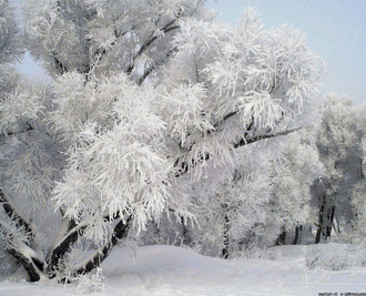 Красавица зима - зима, природа - предпросмотр