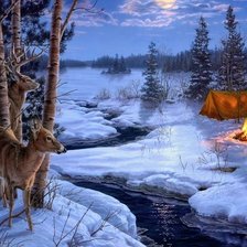 Схема вышивки «Зима»