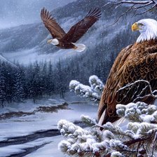 Схема вышивки «№1404140»