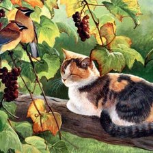 Схема вышивки «Милый котик»