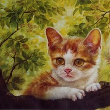 Схема вышивки «Котик»