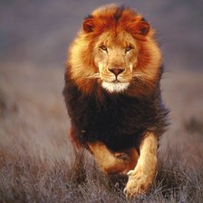 Схема вышивки «№1404200»