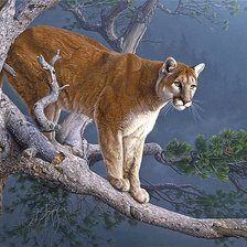 Схема вышивки «675»