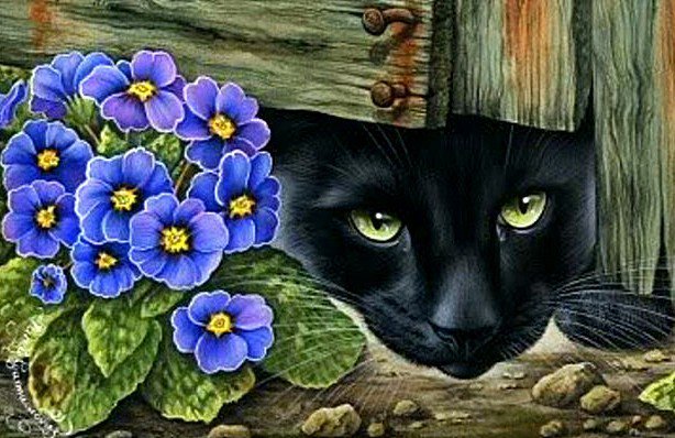 за забором - кошки - оригинал