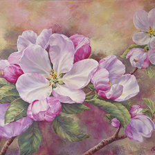 Схема вышивки «№1404373»