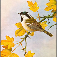 Схема вышивки «Серия "Птицы"»