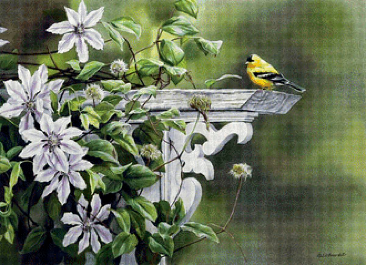 Серия "Птицы" - цветы, птицы - предпросмотр