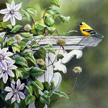 Схема вышивки «Серия "Птицы"»