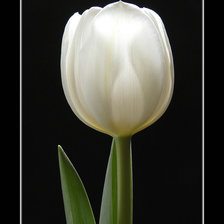 Схема вышивки «№1404609»