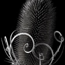 Схема вышивки «№1404627»