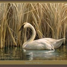 Схема вышивки «№1404628»